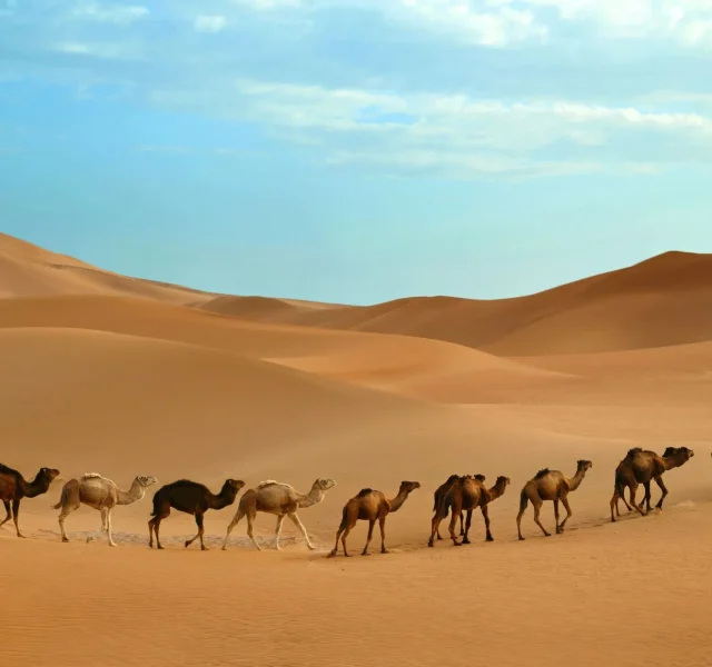 Mejor Viajes Marruecos