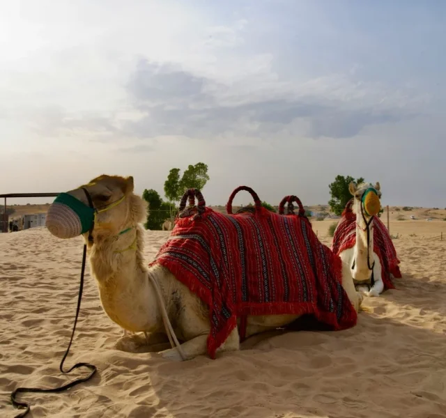 Mejor Viajes Marruecos