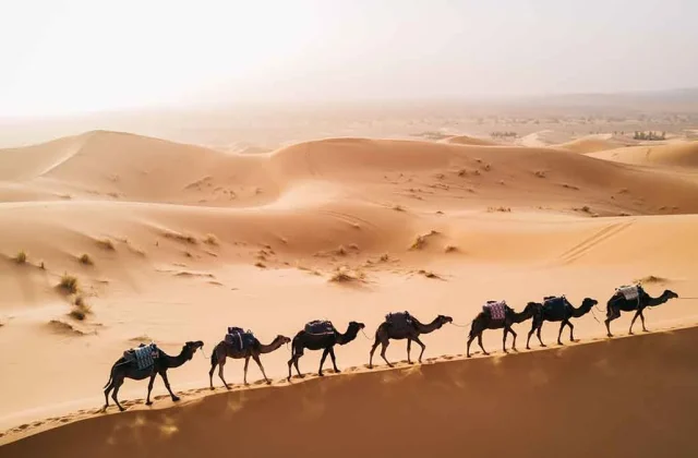 Mejor Viajes Marruecos